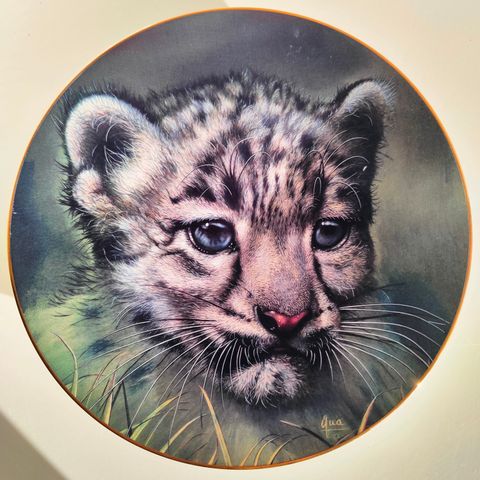 Samlerplate Snow Leopard Cub