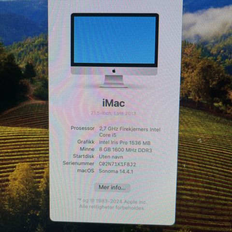 iMac 21,5