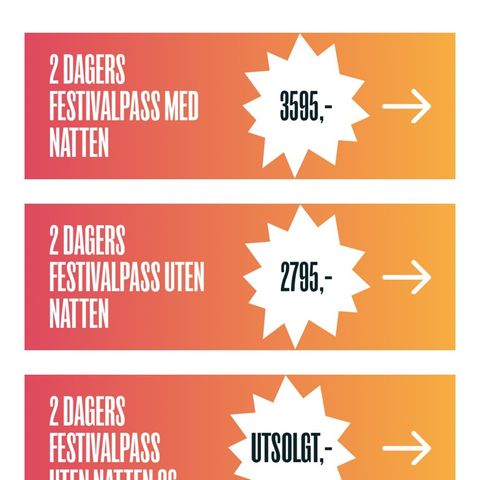 2-dagers festivalpass Slottsfjell 2024 (uten natten)