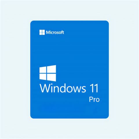Windows 11 pro (64 & 32 bit  OEM)