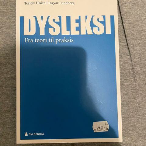 Dysleksi - fra teori til praksis (500 kr)