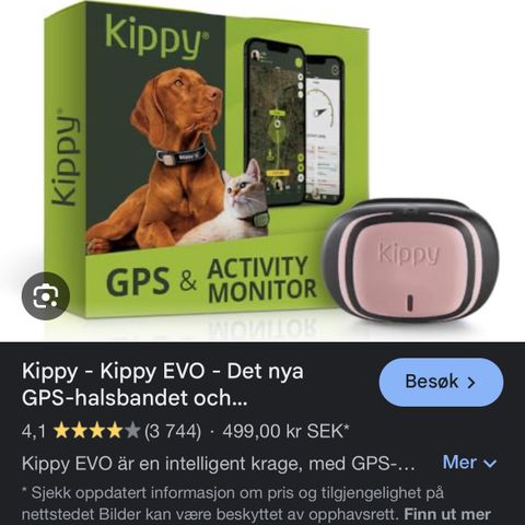 Kippy kattesporing overvåkning av katt