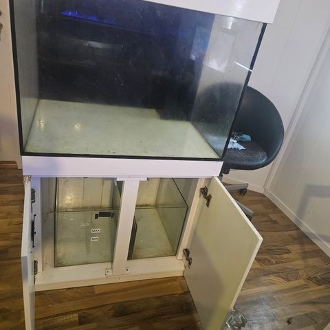 Saltvann akvarium ca 288 liter + sump