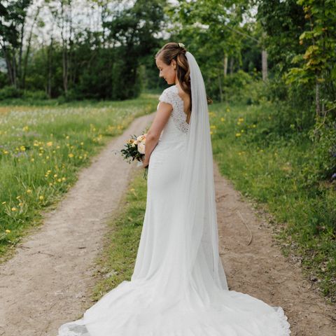 Pronovias Milady brudekjole - ferdig renset - NY PRIS