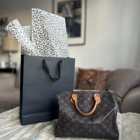 Louis vuitton speedy 30