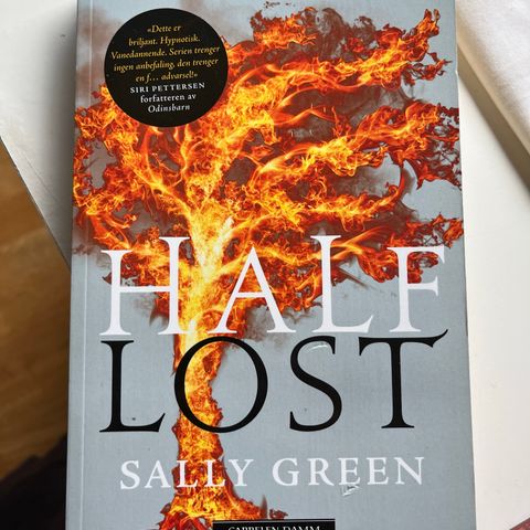 Half lost Sally Green