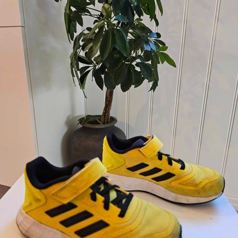 Joggesko Adidas str 30