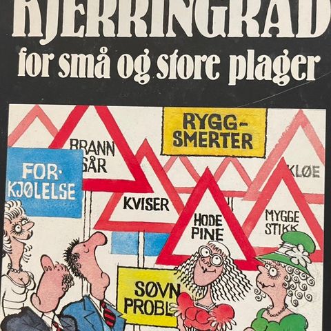 Bok: Kjerringråd for små og store plager