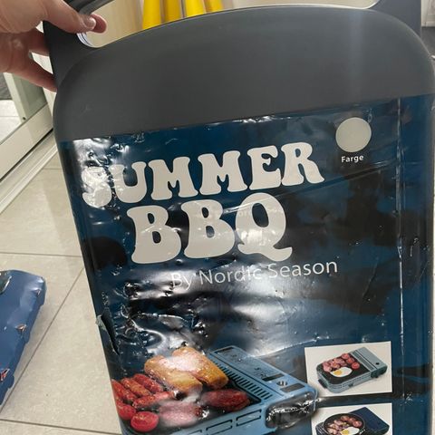 Summer BBQ  grill
