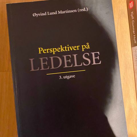 Perspektiver på ledelse