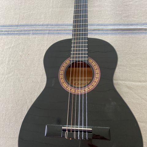 Gitar Cataluna SGN-C61