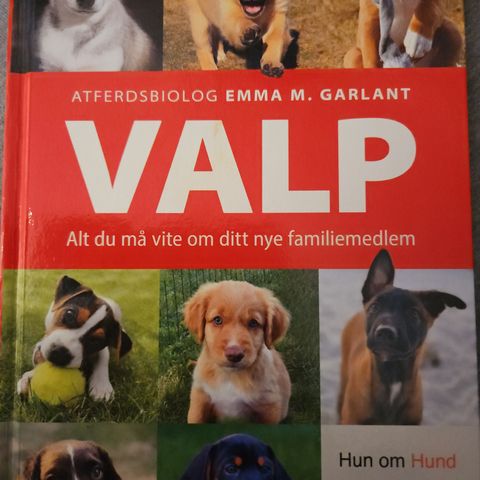 Valp