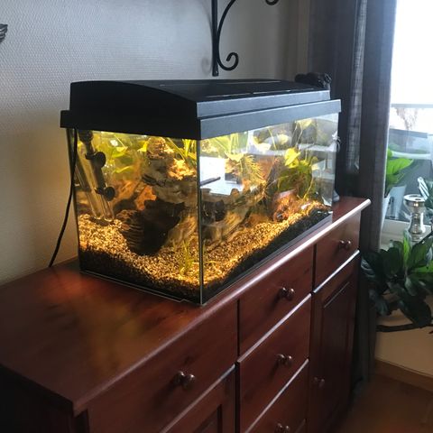 Akvarium 60 L