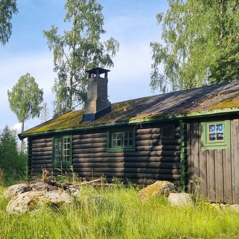 Hytte med Jakt på åremål. Småvilt/Rådyr. 12600 mål. 1 time øst for Oslo.