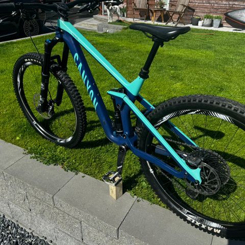 Canyon Strive