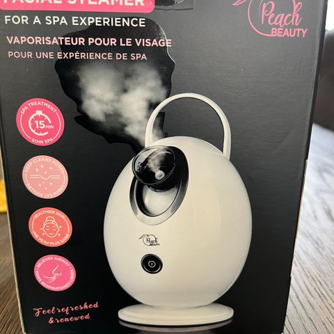 Facial steamer