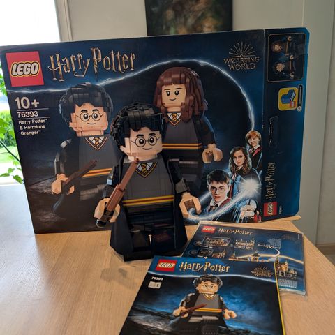 Lego 76393, Harry Potter og Hermine Grang