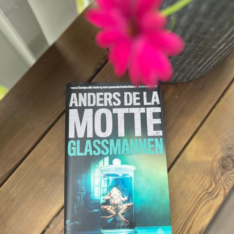 Bok «Glassmannen»