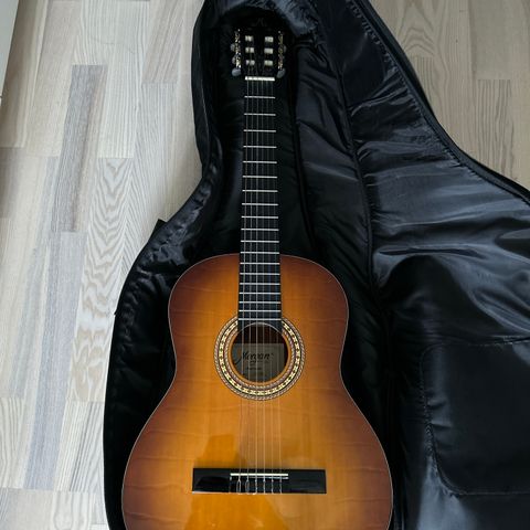 Gitar Morgan type cg-10sb