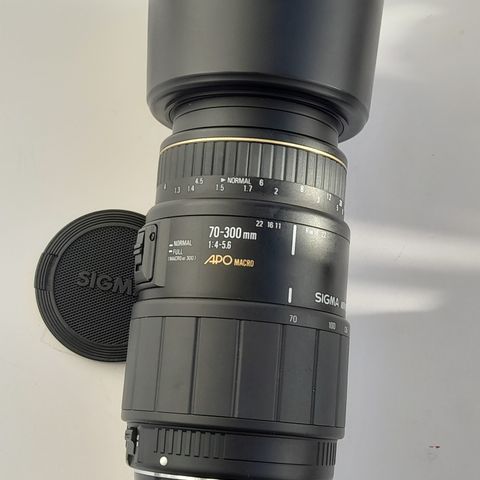 Sigma 70-300mm f4/f5.6 APO Macro Canon AF