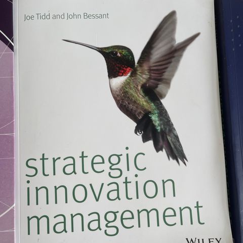 Strategic innovation management