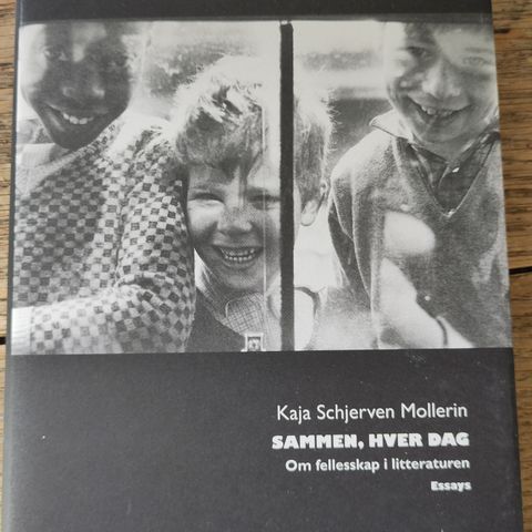 Kaja Schjerven Mollerin: Sammen, hver dag. Om fellesskap i litteraturen. Essays