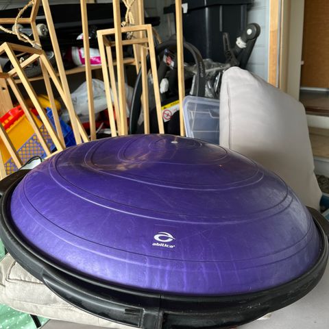 Bosu Balance Trainer Pro