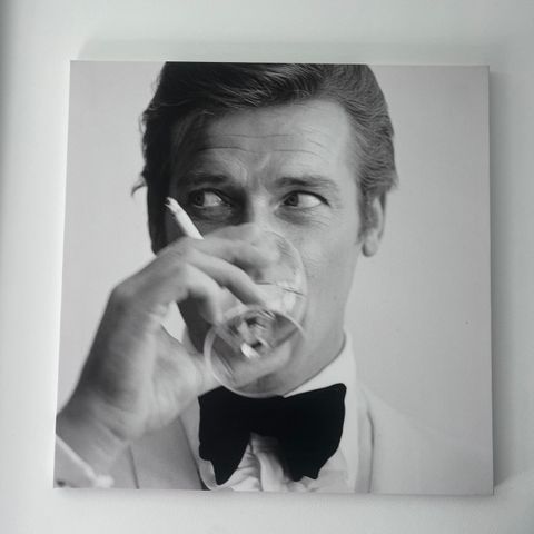 Roger Moore Canvas