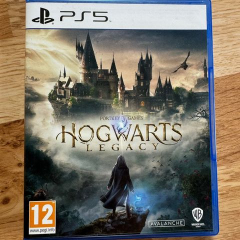 Som ny tilstand Hogwarts Legacy til Playstation 5 Selges