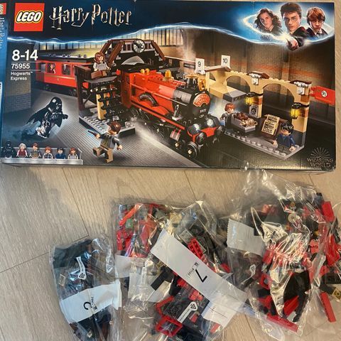 Lego Harry Potter 75955