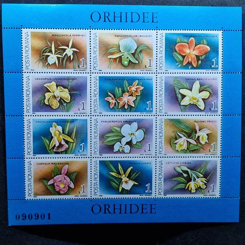 Romania 1988 orkide blomster - 12 frimerker ark - postfrisk