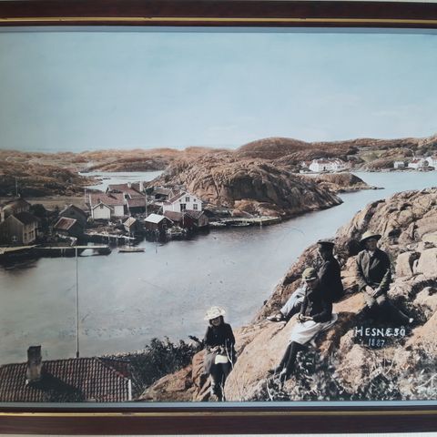 Fotoavtrykk av Hesnesøy i Grimstad 1887