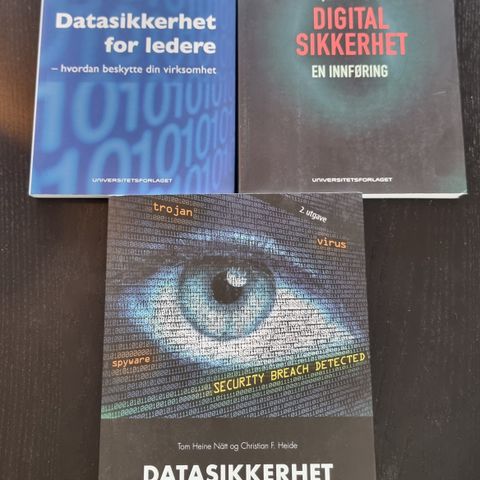 Datasikkerhet bøker for fagskolen