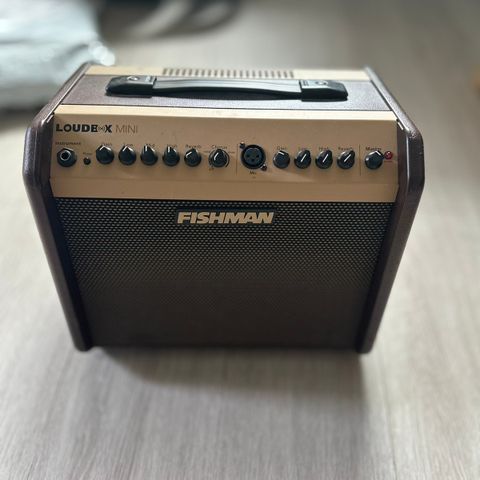 Fishman loud box mini