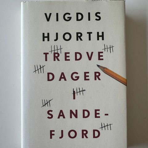 Vigdis Hjorth - 30 dager i Sandefjord (innbundet)
