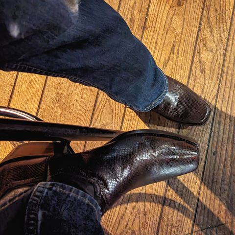 Cowboy boots - Dan Post - Snakeskin - Str. 44