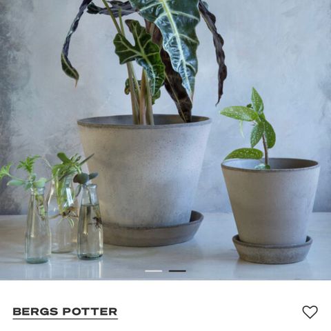 Bergs potter Julie