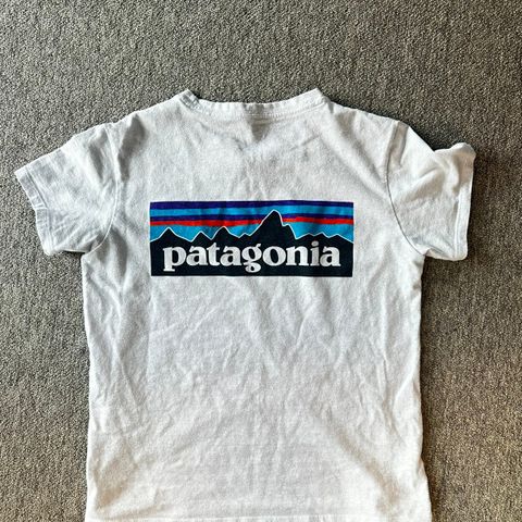 Patagonia P-6 Logo Responsibili-Tee Dame