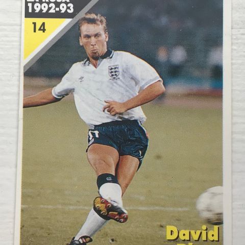 Fotballkort David Platt - Masters Cards Juventus La rosa 1992-93 N. 14