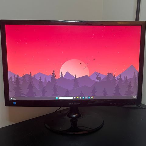 Samsung Monitor selges (S24C300)