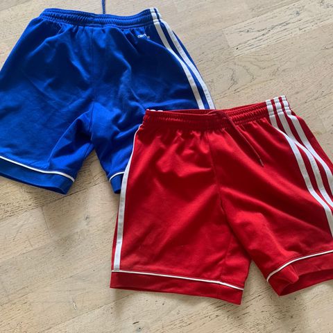 Adidas shortser