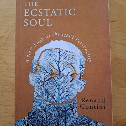 The Ecstatic Soul - Renaud Contini