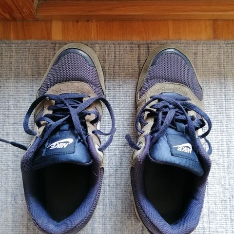 Nike sko blå