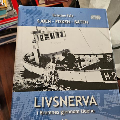 LIVSNERVA - I Bremnes gjennom tidene