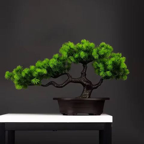 Nydelig kunstig Bonsai tre