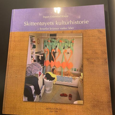 Skittentøyets kulturhistorie av Ingun Grimstad Klepp