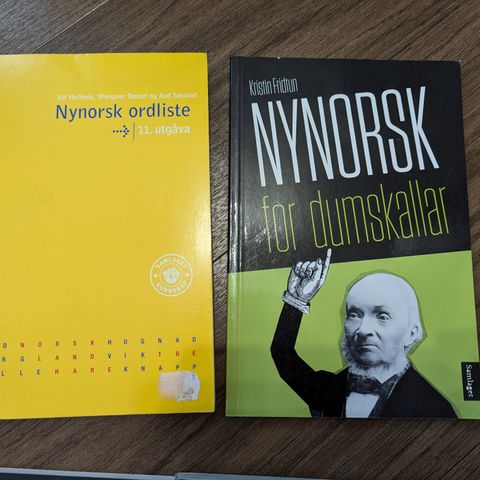 Nynorsk for dumskallar + ordliste / Norsk vg3 påbygg