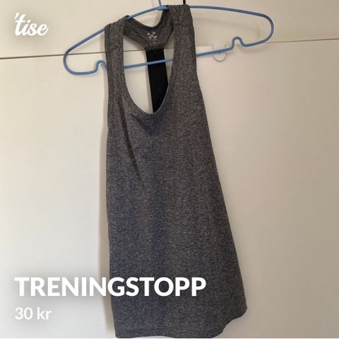 Treningsinglet