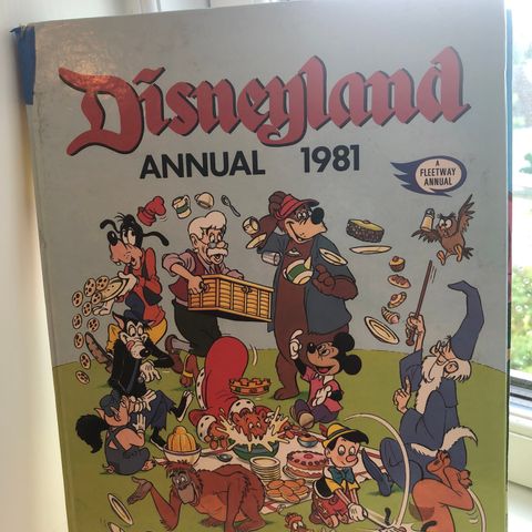 Disneyland Annual 1981 24 x31cm