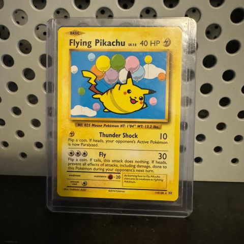 Flying and surfing pikachu